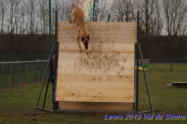 2019 ring val de saone palissade.jpg